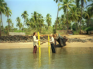 Wassermusik im Indischen Ozean